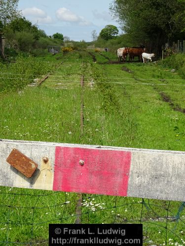 The Curry Railway